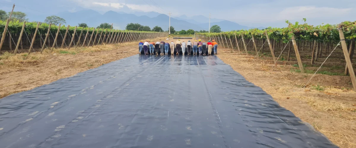 Geomembrana HDPE portada con personal