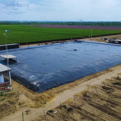 Cubierta flotante en fundo